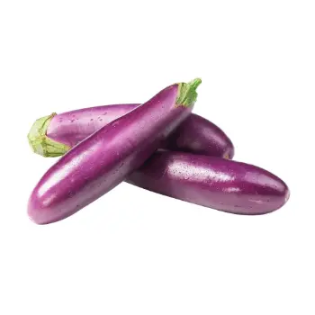 brinjal (1)-3662851-47059.webp